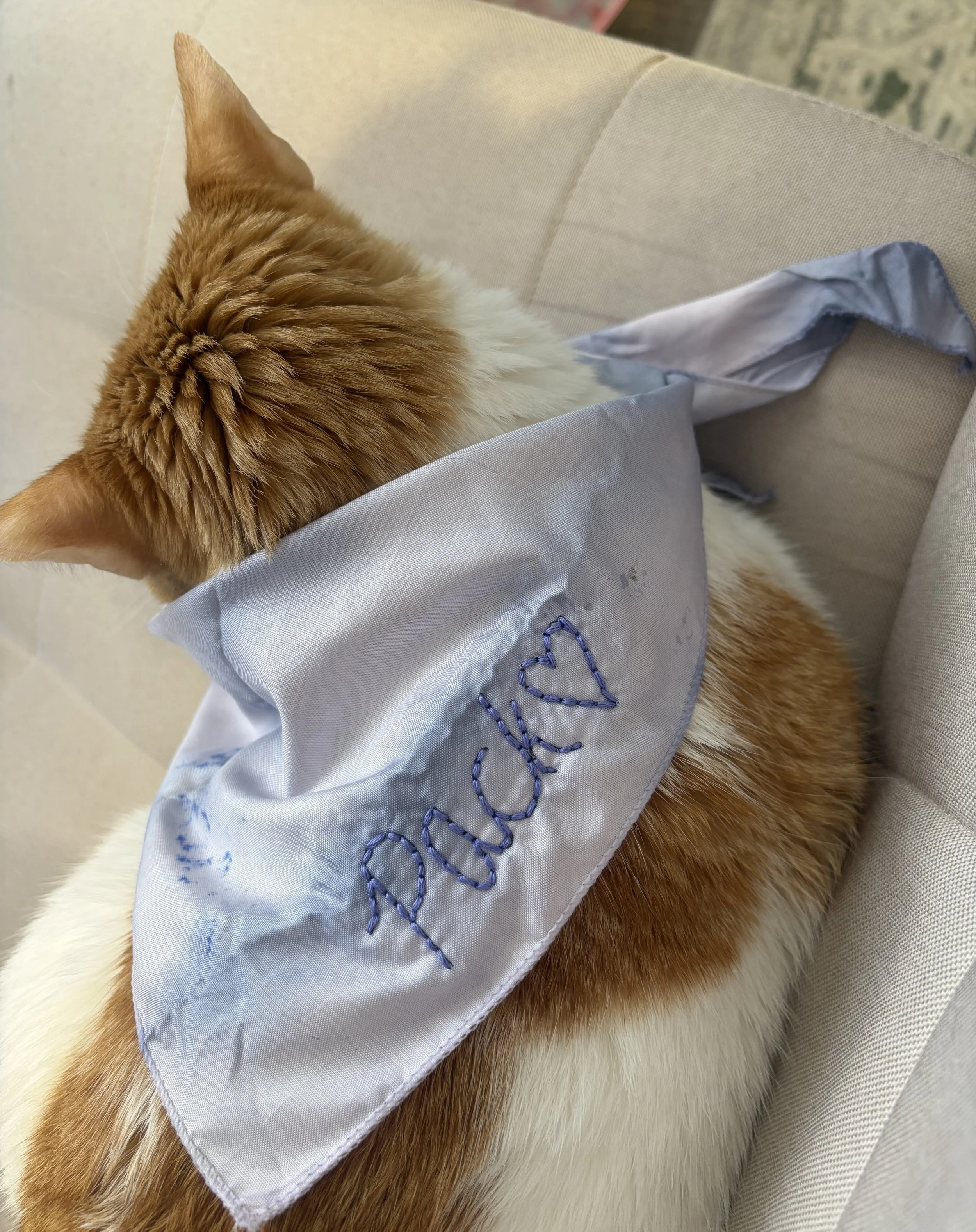 Pack Love Bandanas