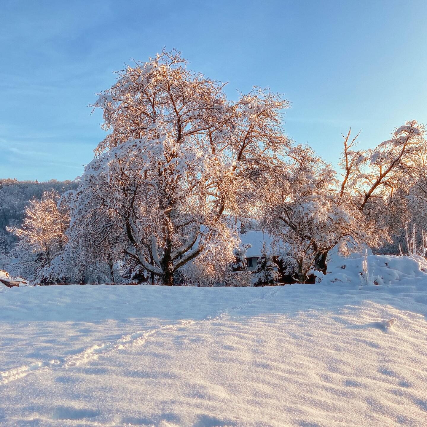 ❄️☃️ We had a pretty early snowfall last week and I&rsquo;m ready for more!