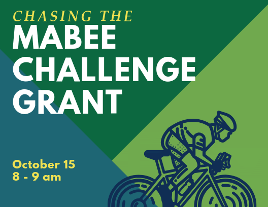 Mabee Seminar Web Version.png