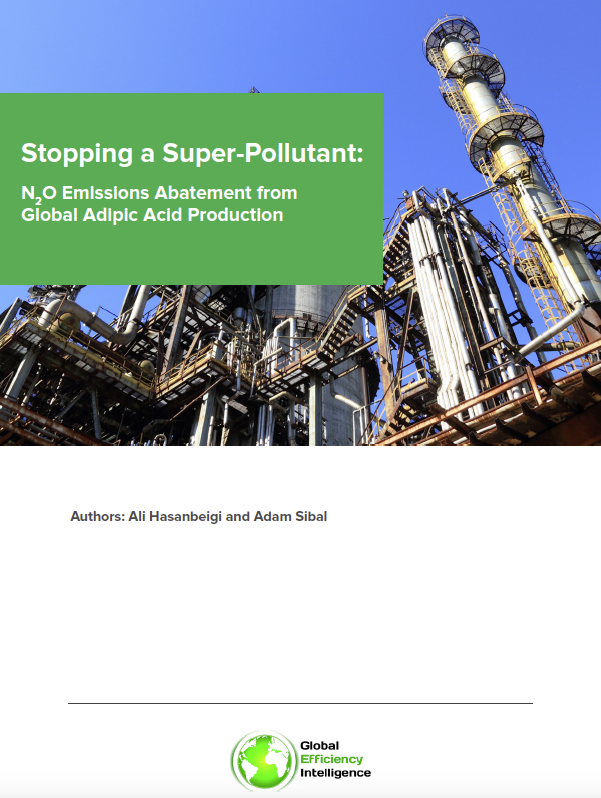 Stopping a Super-Pollutant: N2O Emissions Abatement from Global