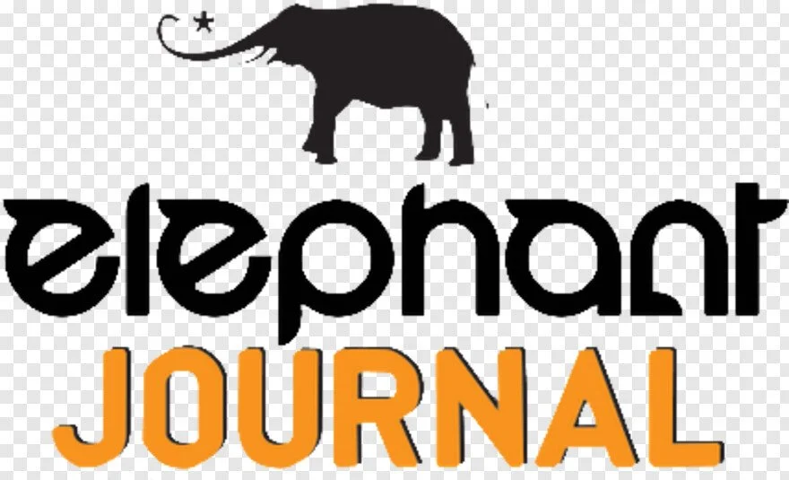Elephant Journal: Leaning Toward Light: 2 Things that can help us Rediscover the World.