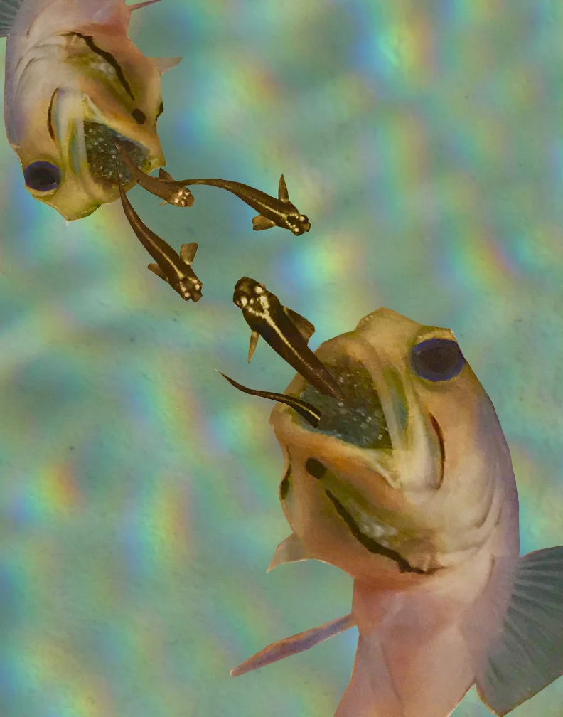 yingyangtwins.jpg