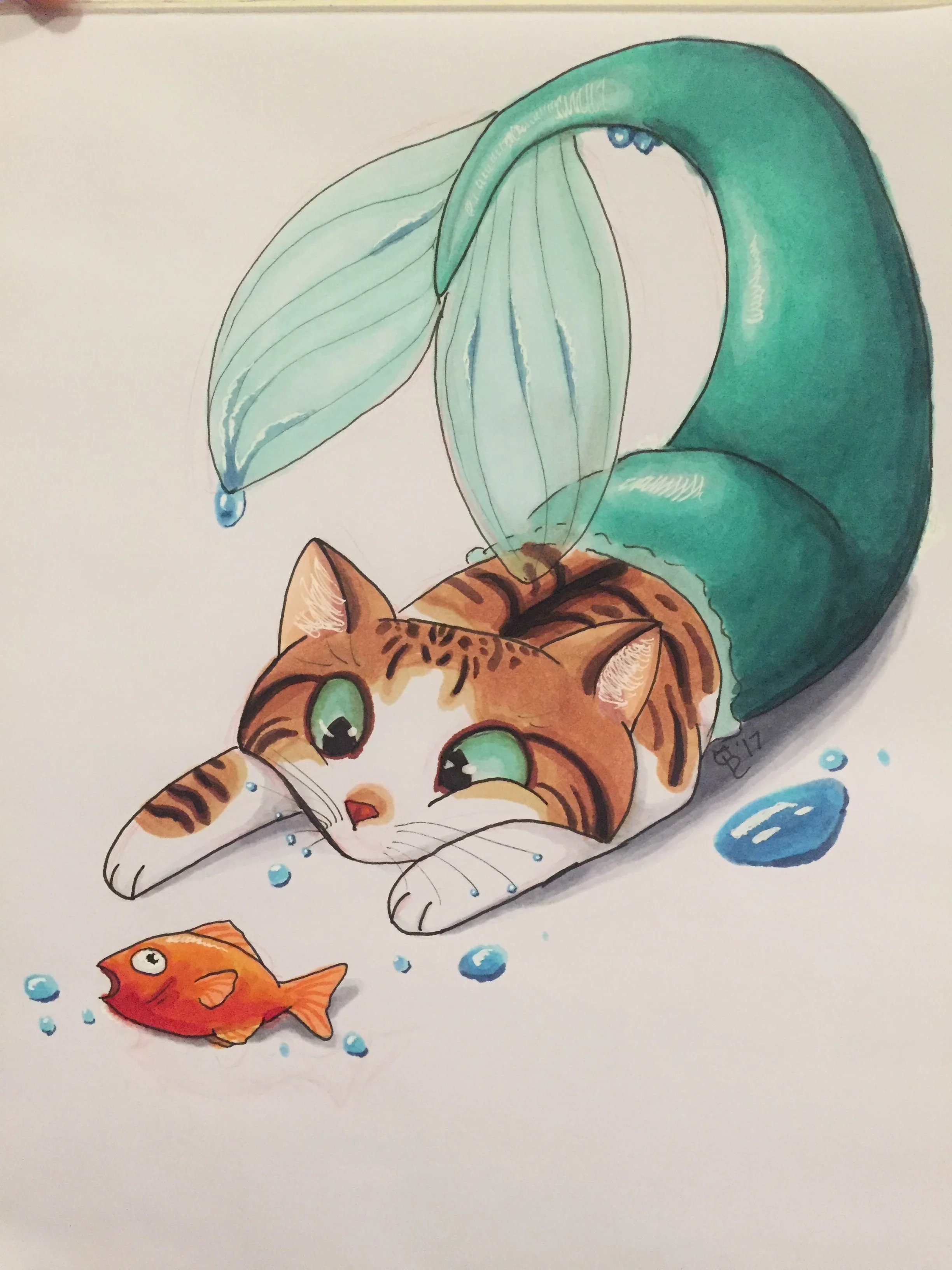 The First Purrmaid