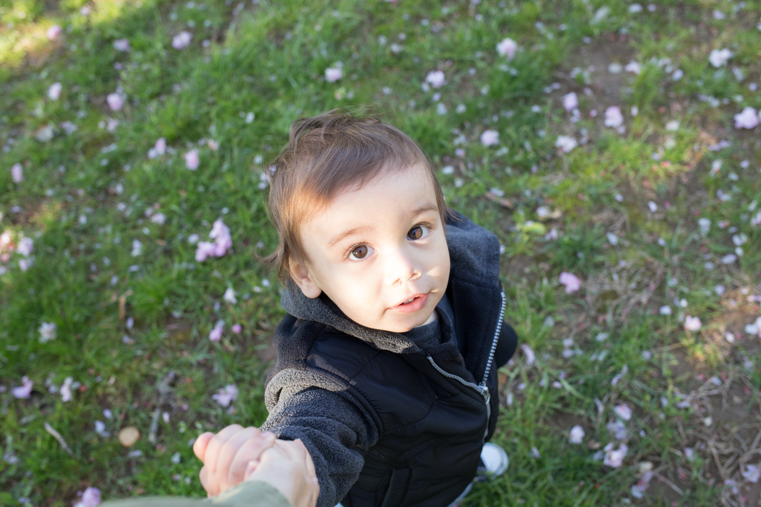 a day at the park with grandma professional photographer Northport NY