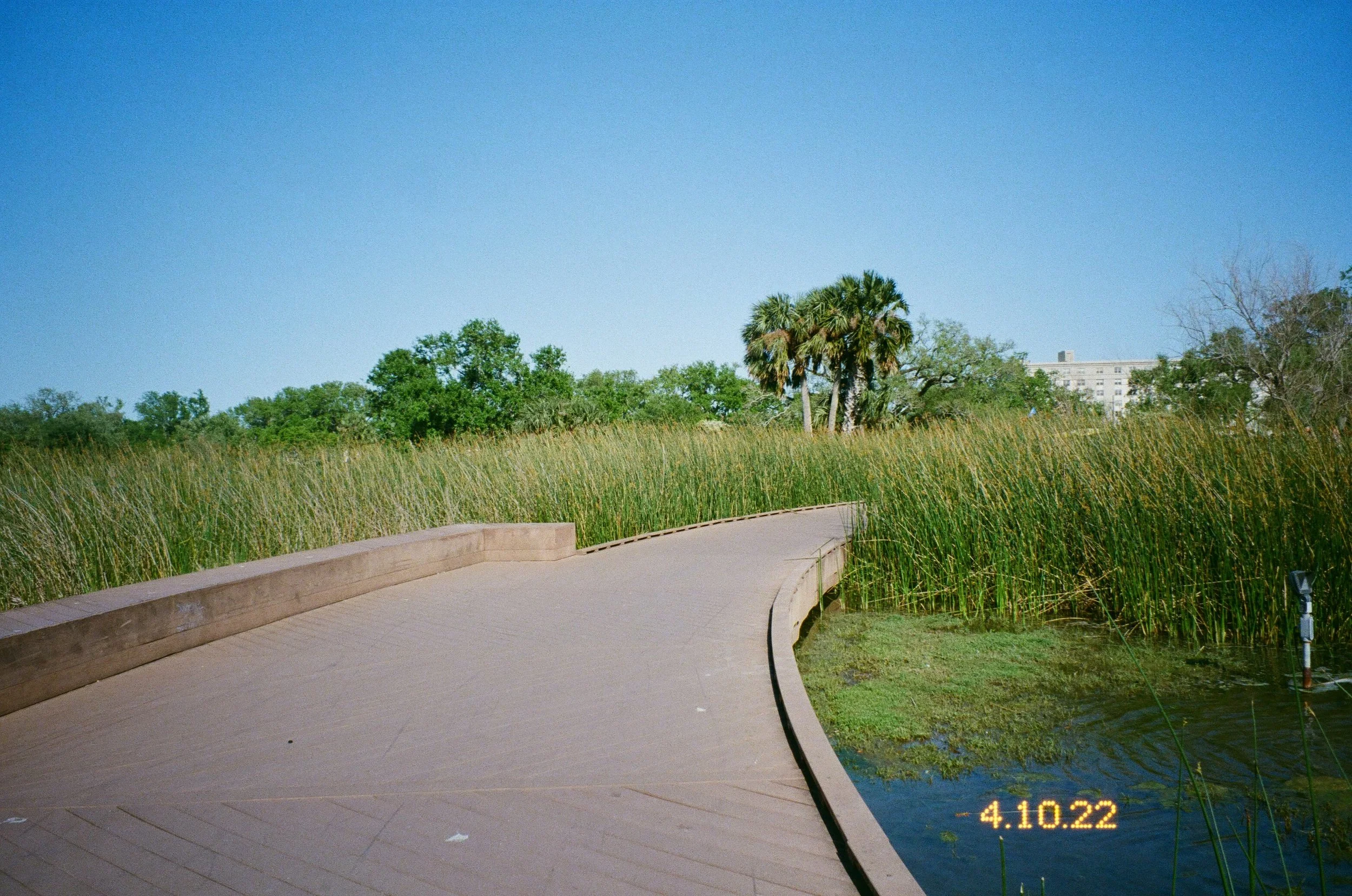 IMG_1256.JPG