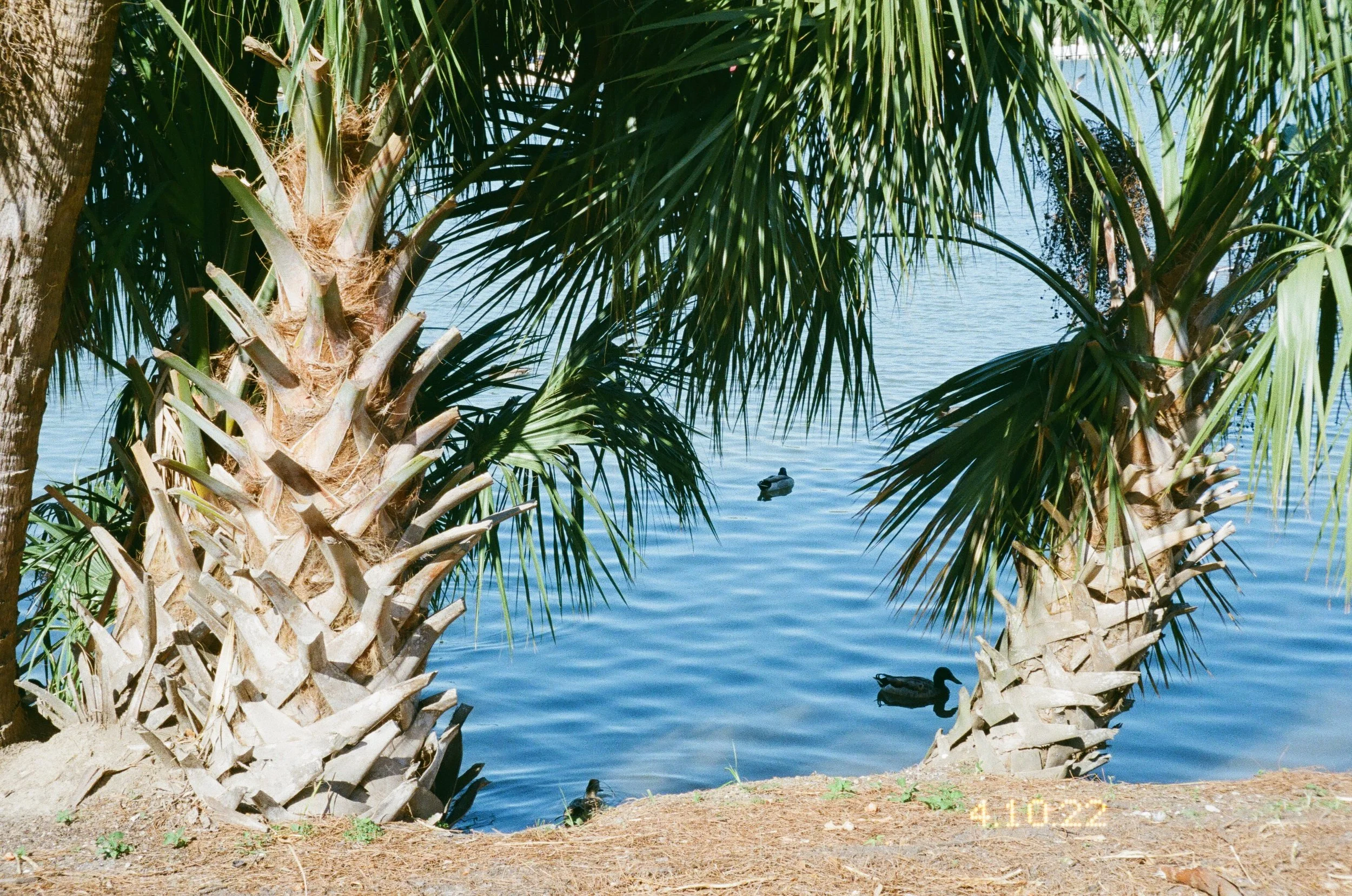 IMG_1254.JPG