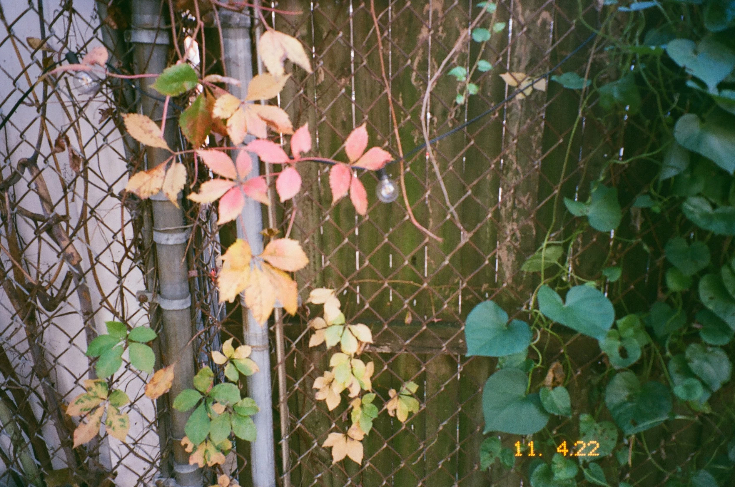 IMG_7857.JPG