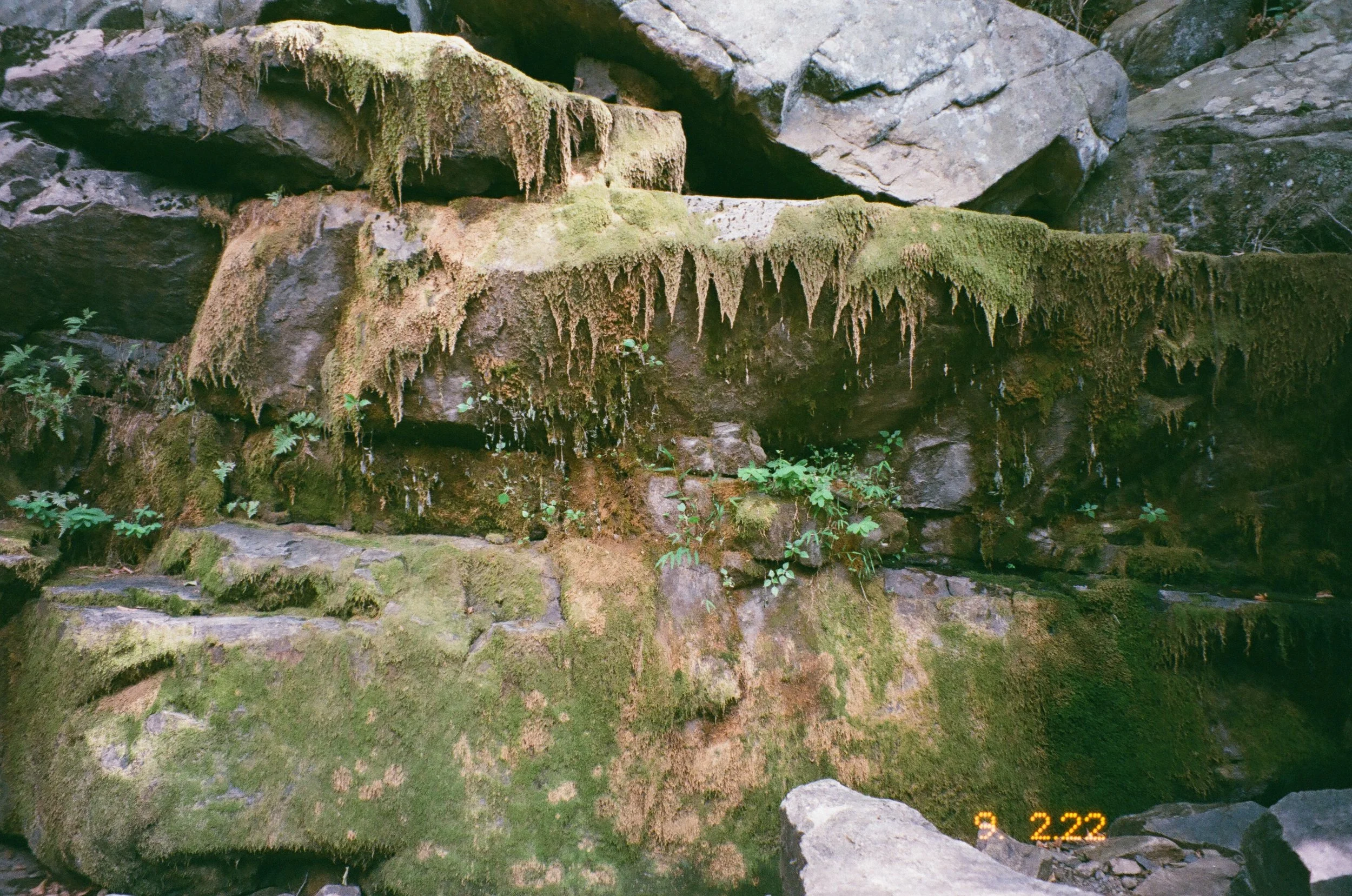IMG_7853.JPG