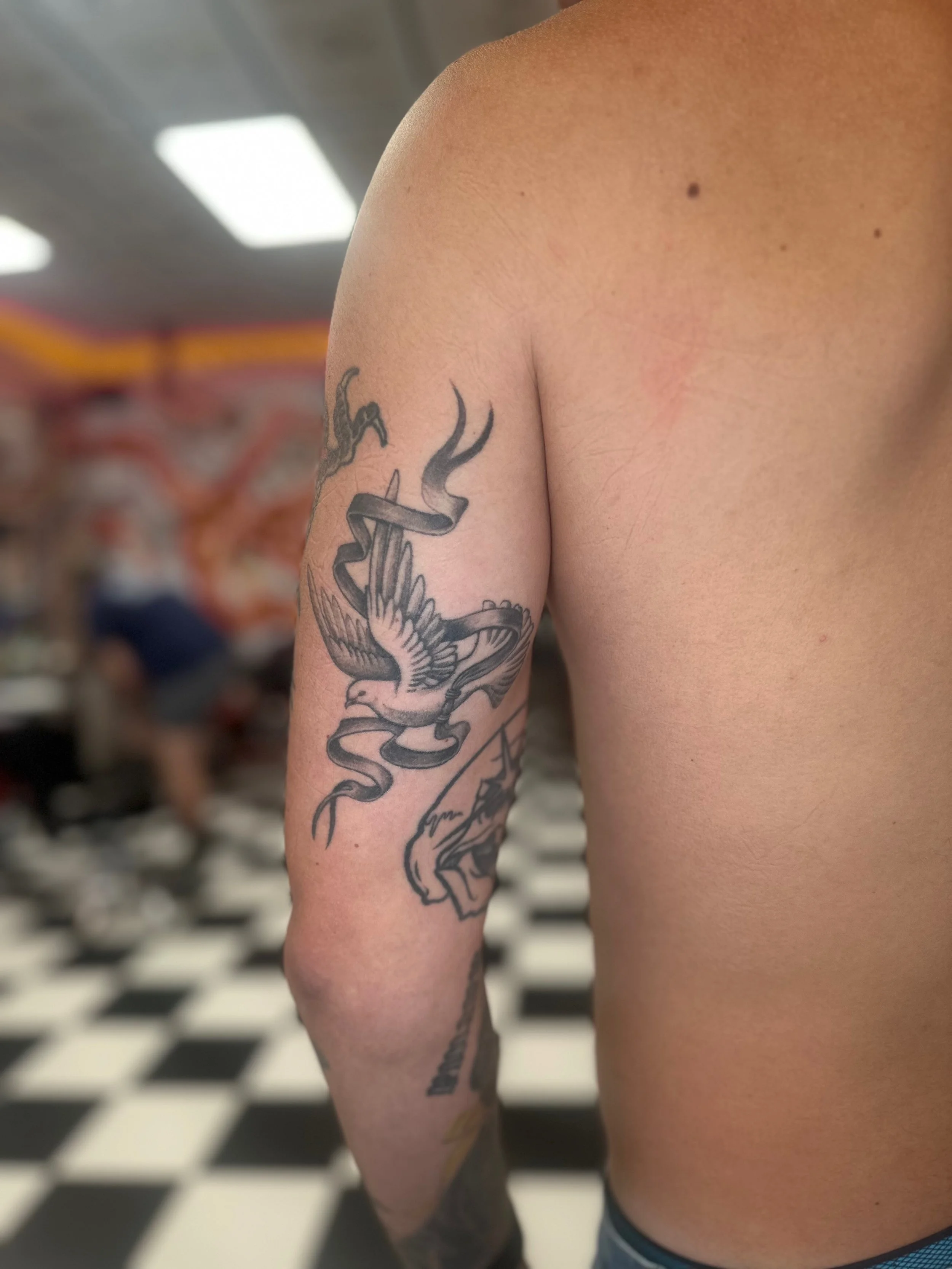 IMG_7307.jpeg