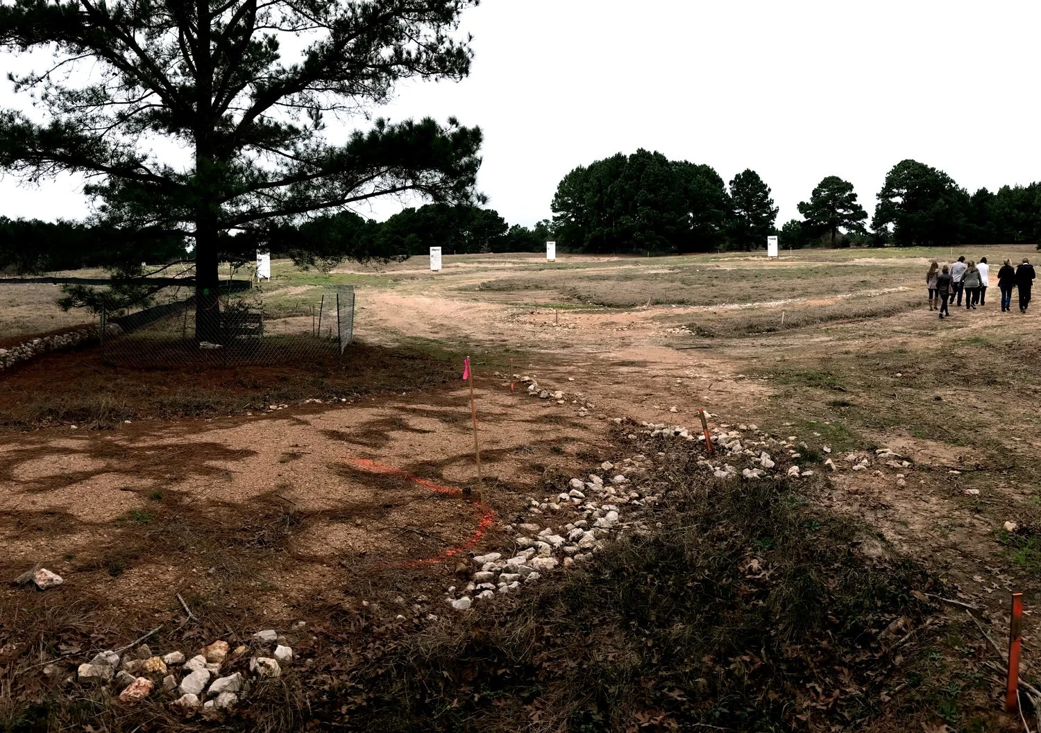 The Refuge Ranch, February 2017