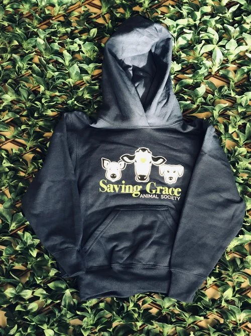youth hoodie.jpg