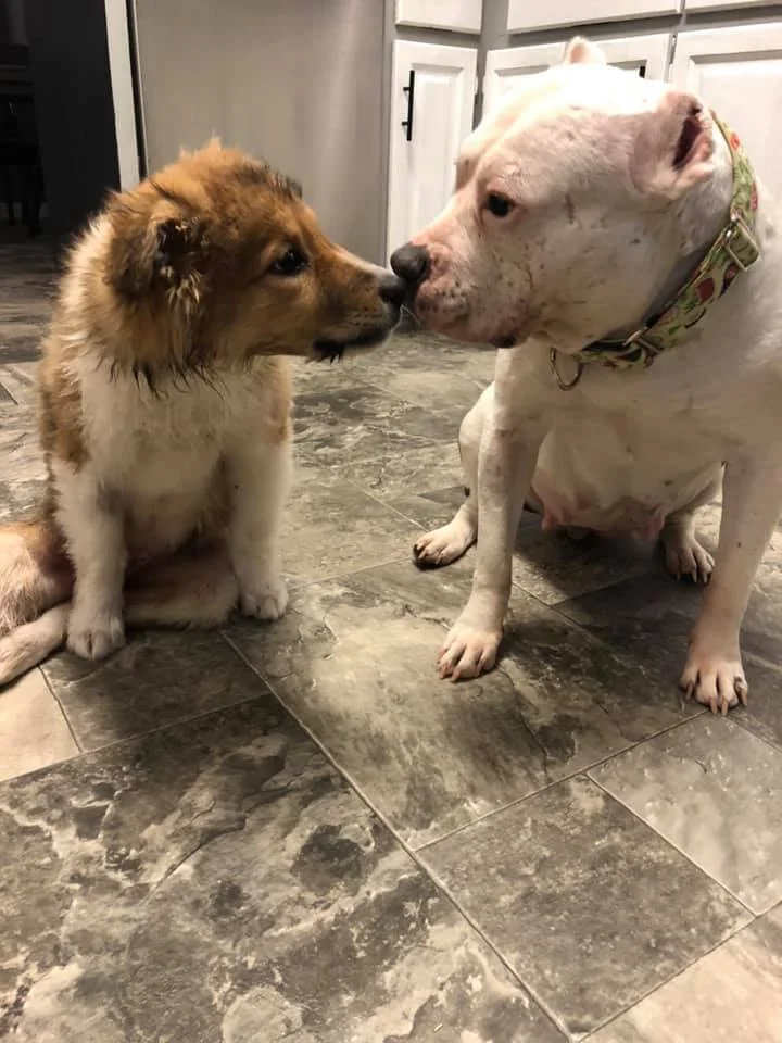 kissing.jpg