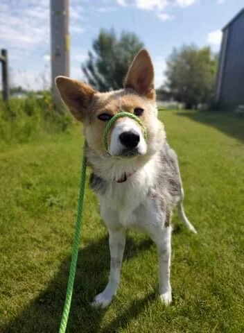 EB027A75-C1A8-432E-B8C0-09A069B81C8E