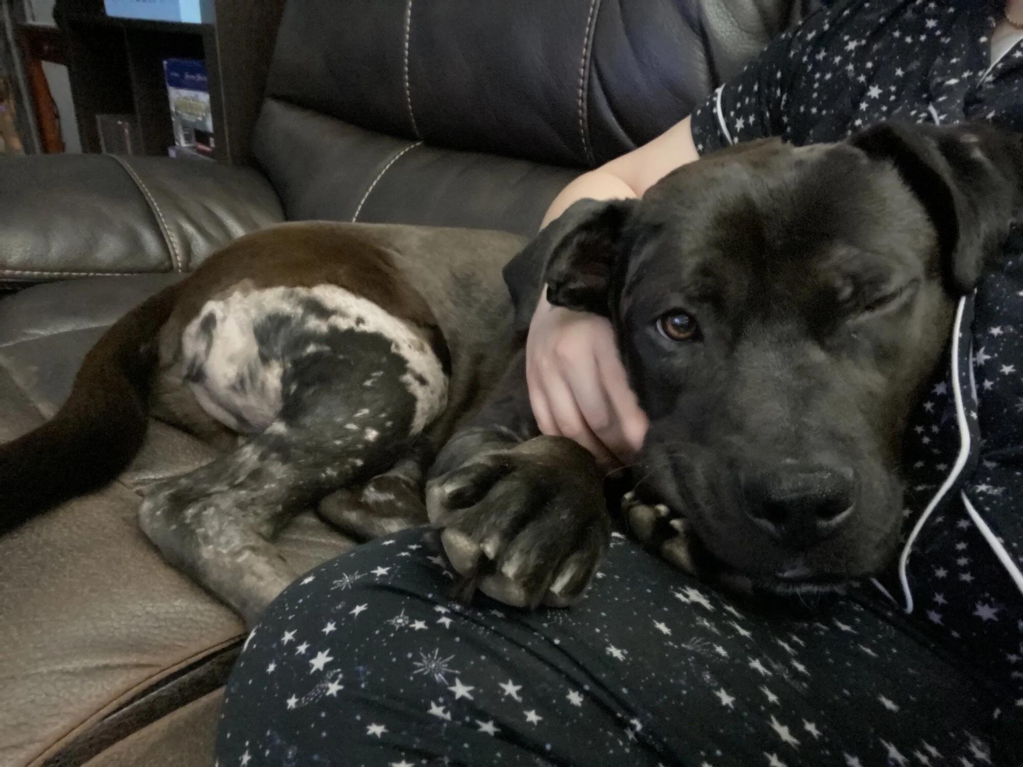 Willy's Rescue Feature.