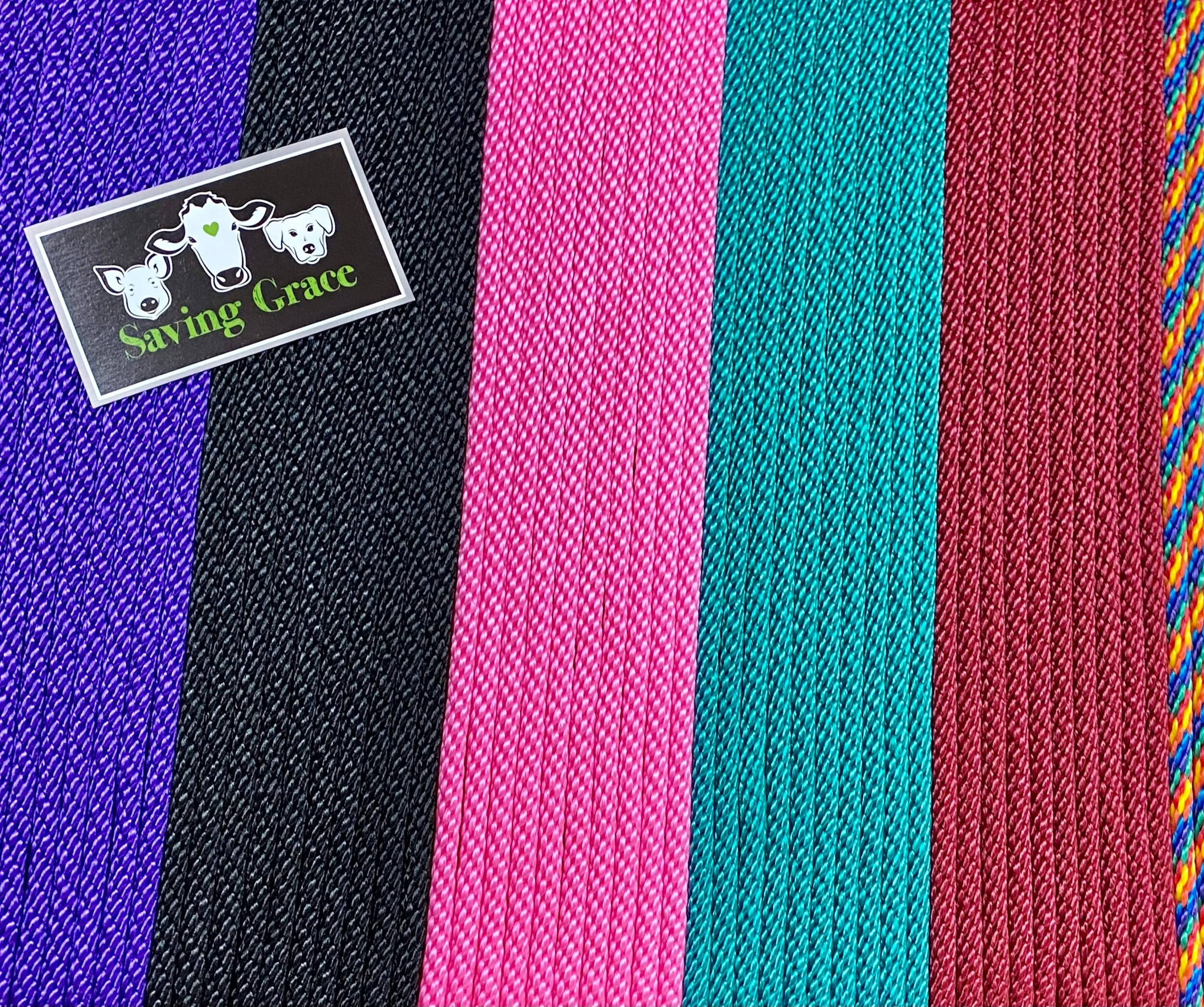 828A1737-2167-4B20-990F-99CBE1F749A3