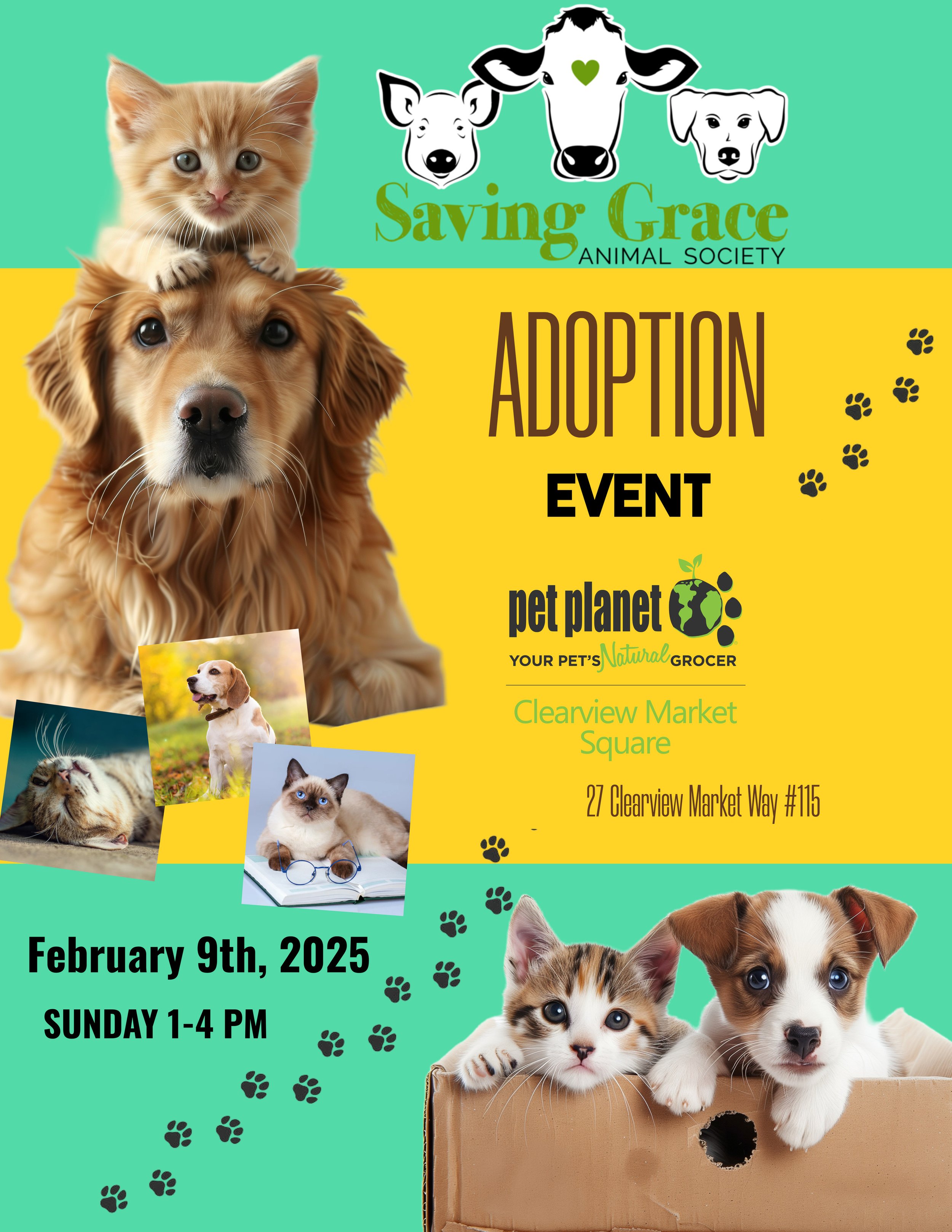 Pet Planet Adoption Events
