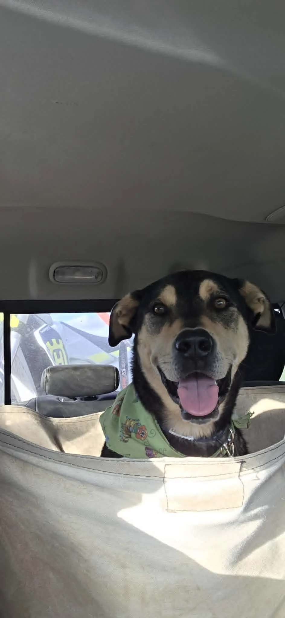 buddy2.jpg