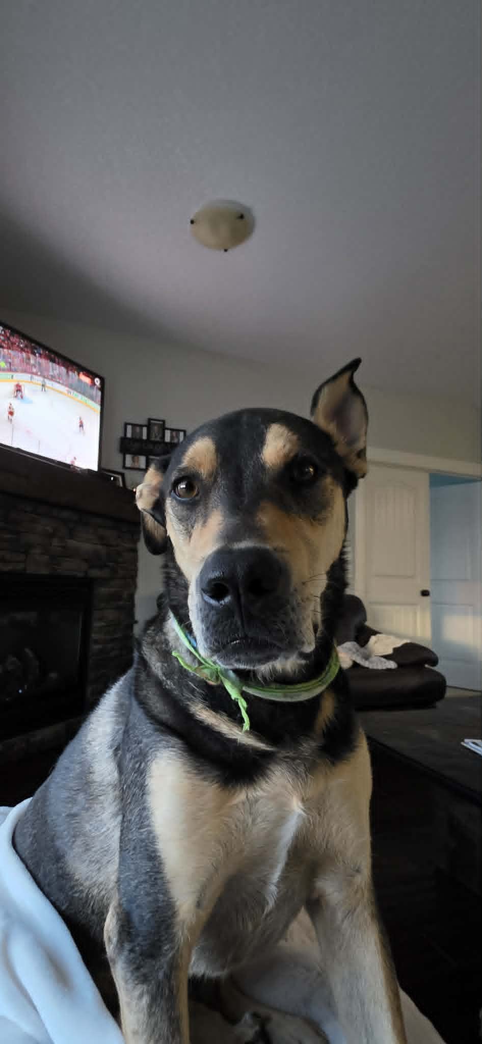 buddy4.jpg