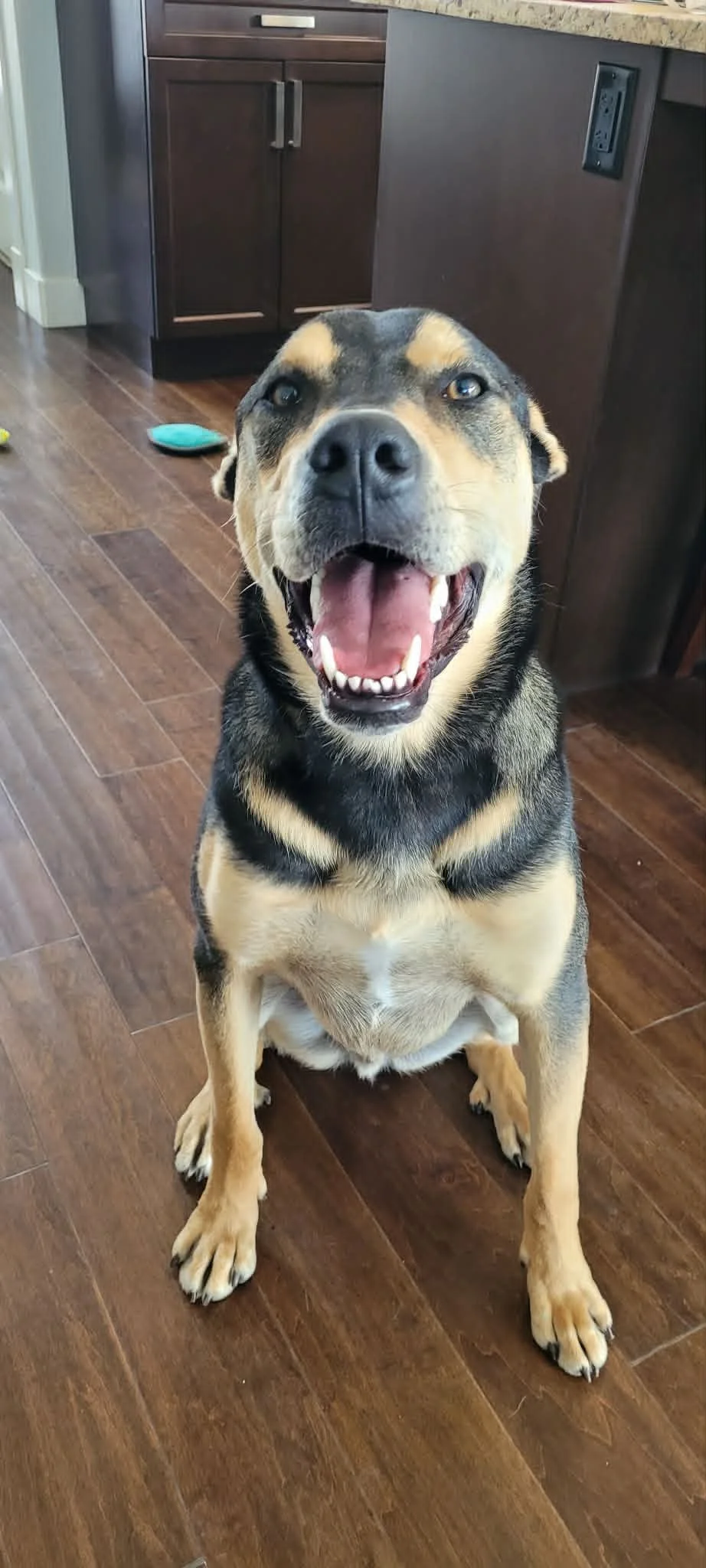 buddy10.jpg