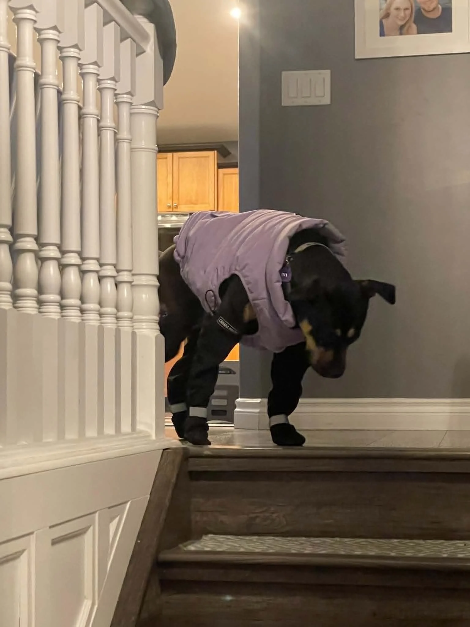 annie4.jpg