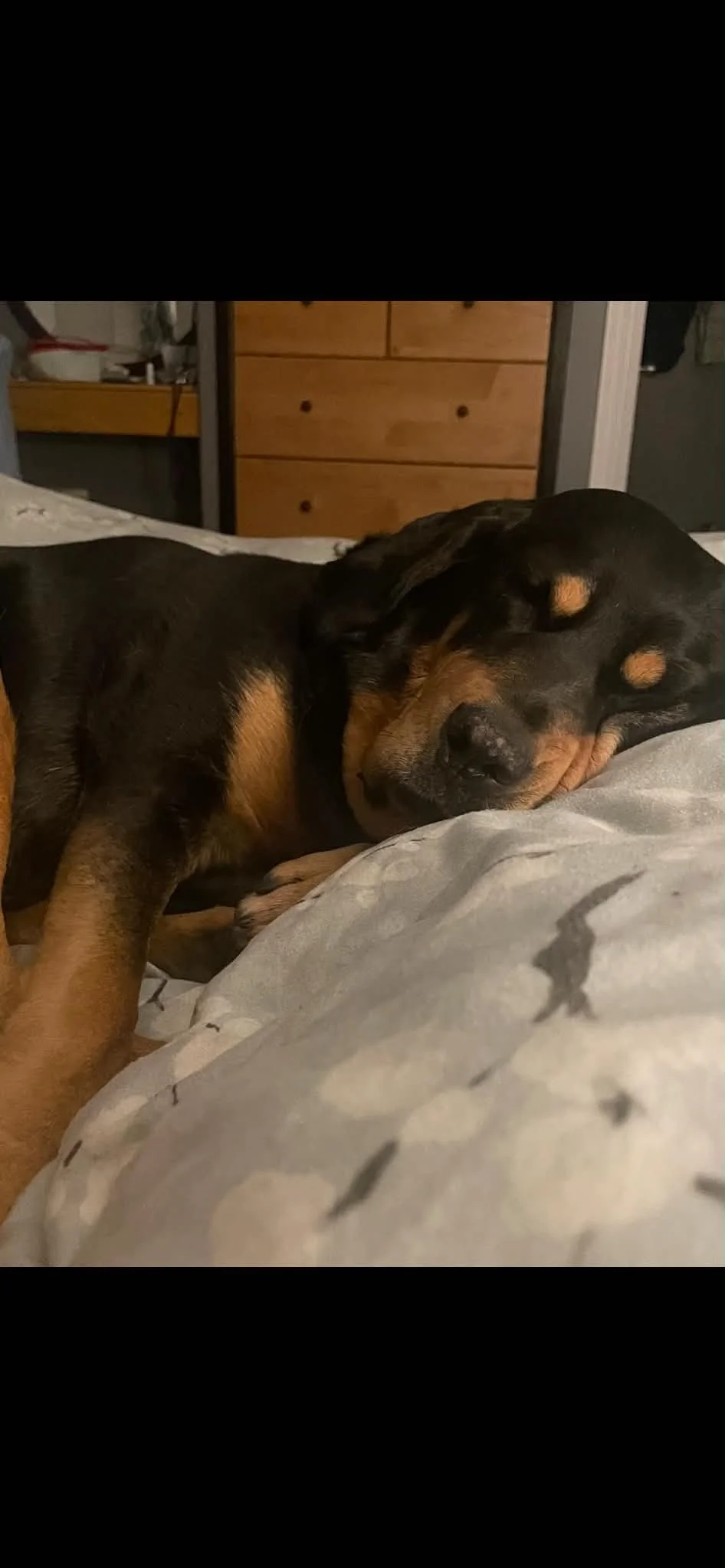bella4.jpg