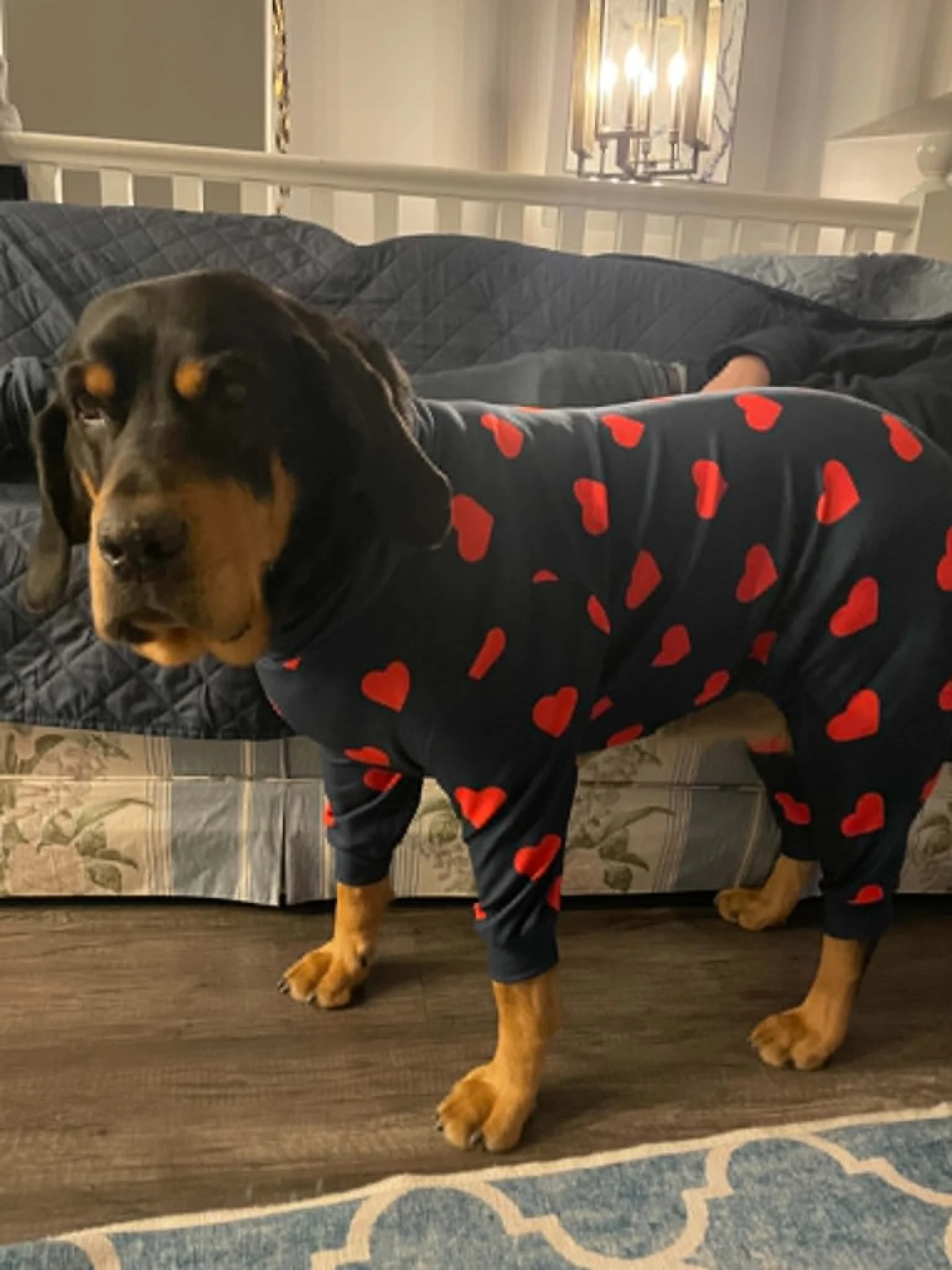 bella9.jpg