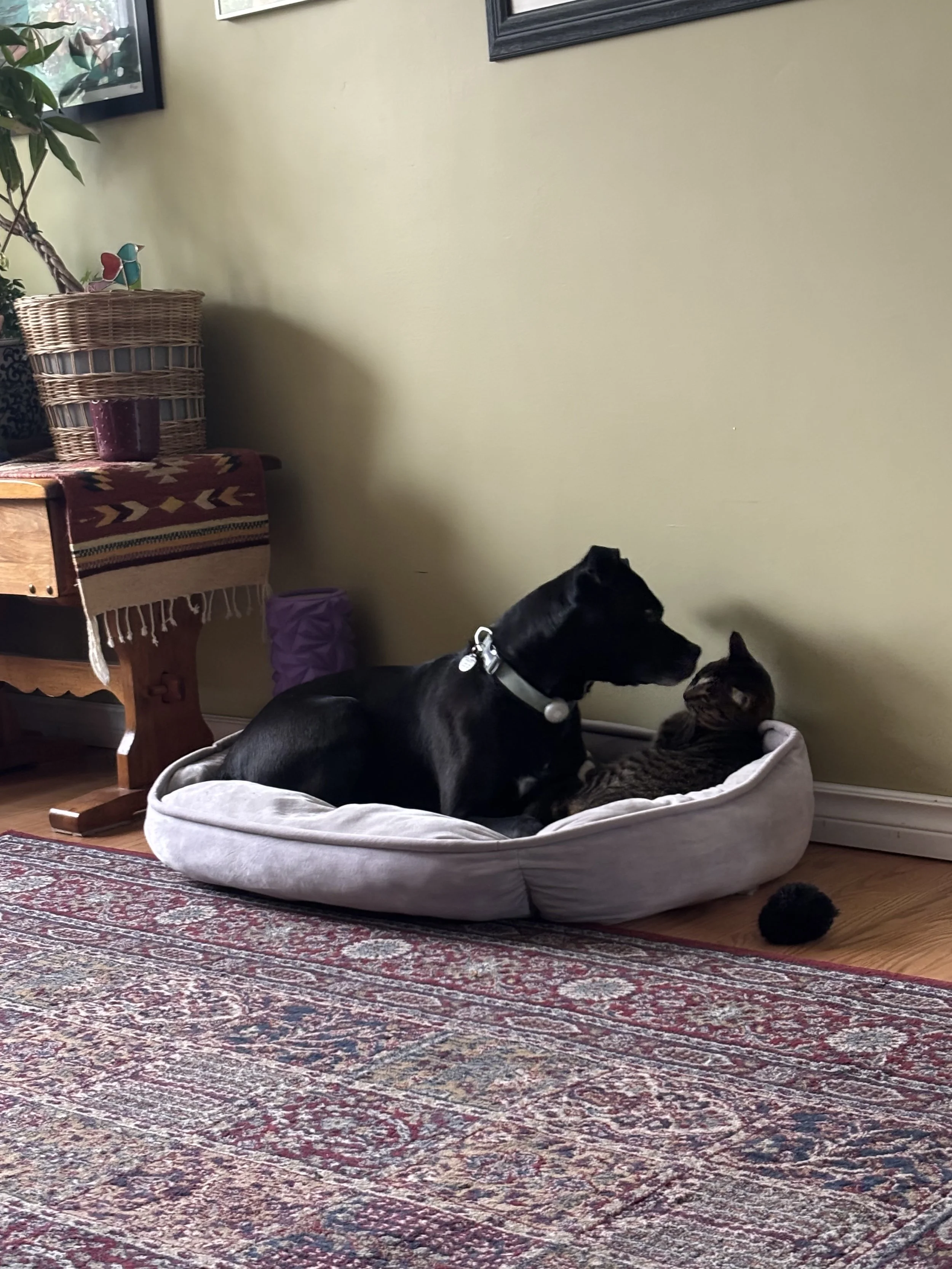 IMG_0073.jpeg