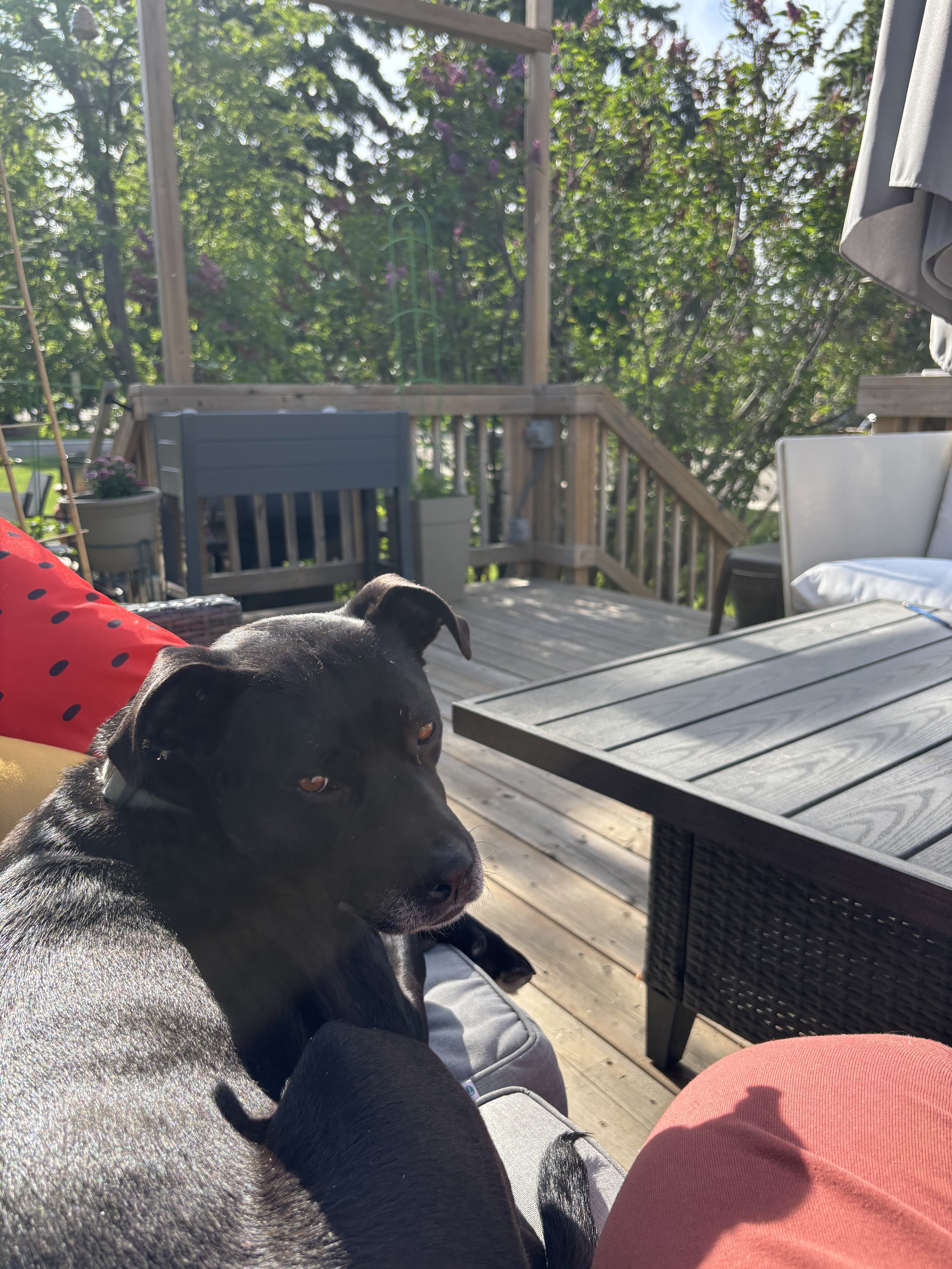 IMG_0056.jpeg