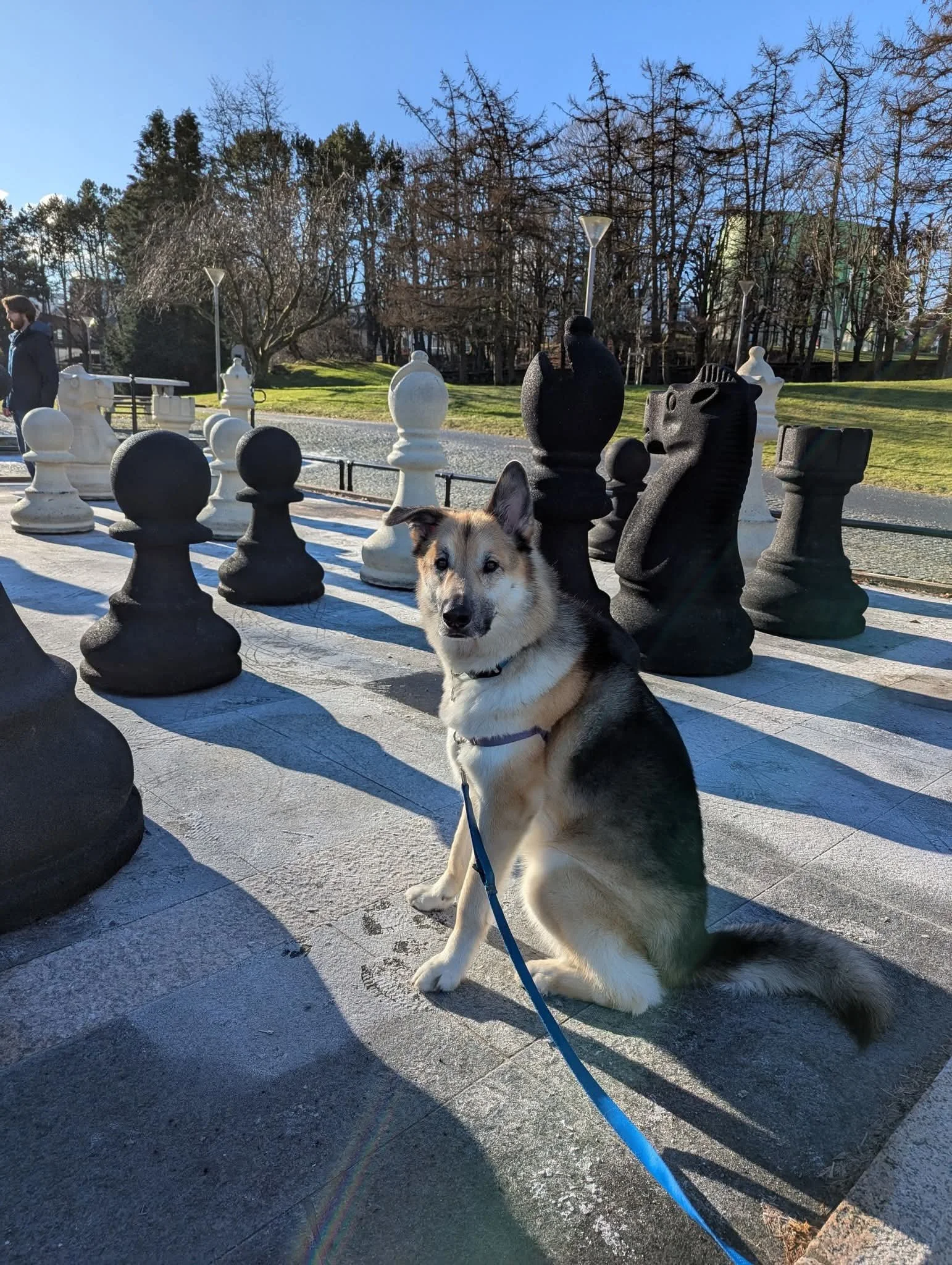 1000024812.jpg