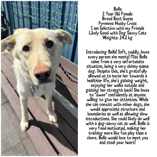 Bella