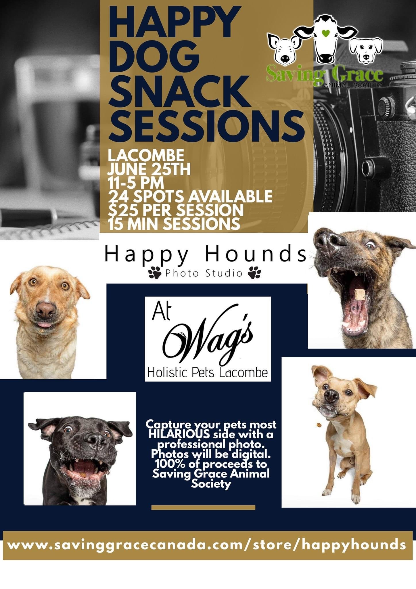 Happy Dog Snack sessions — Saving Grace Animal Society