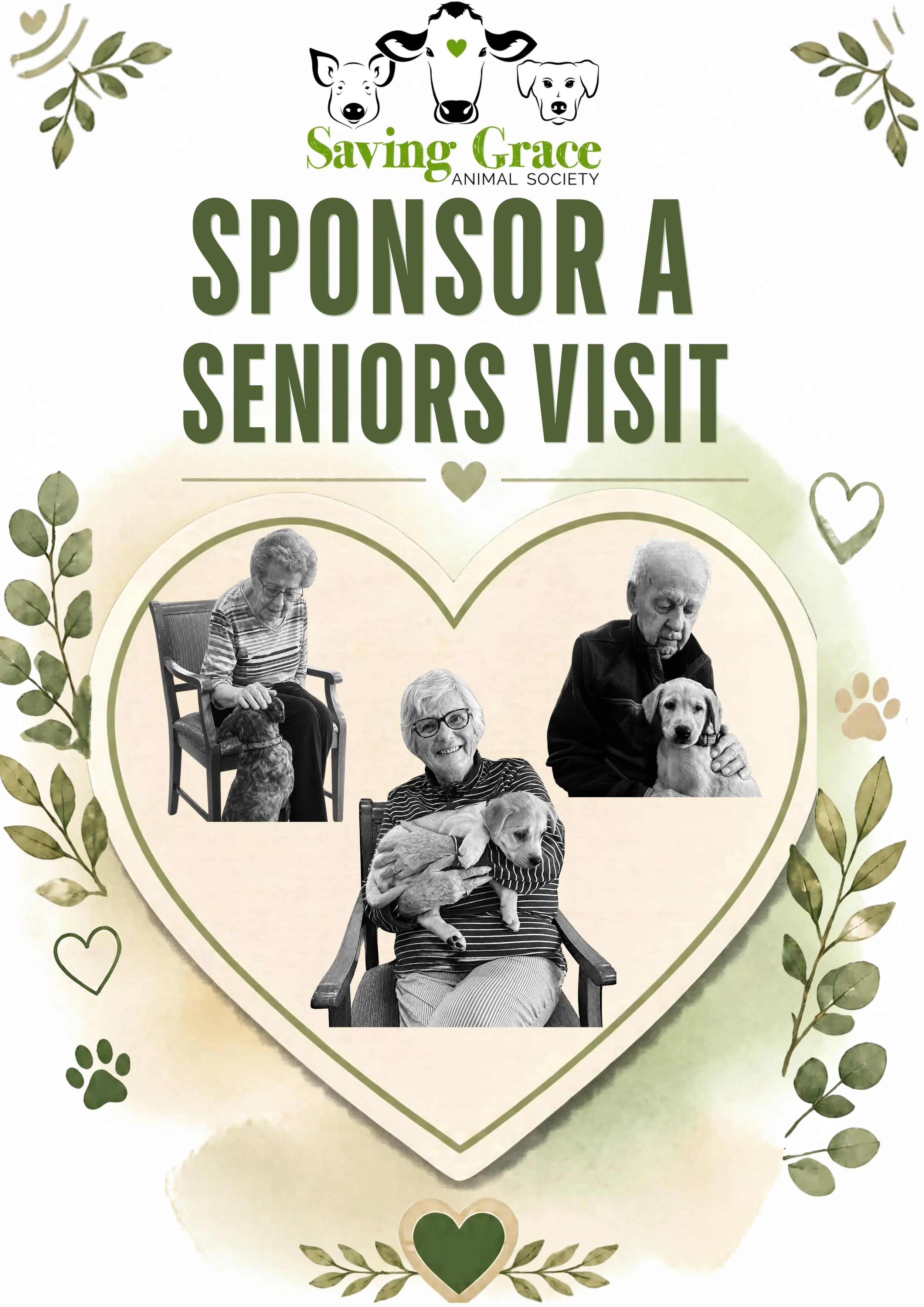 Sponsor a Seniors Vists poster.jpg