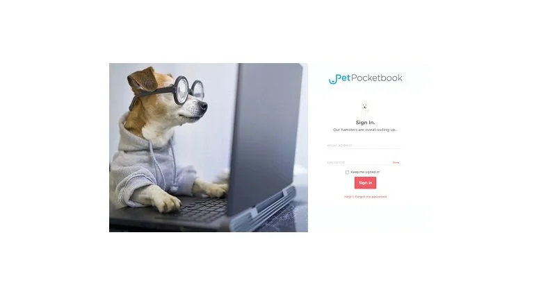 dog computer3.jpg