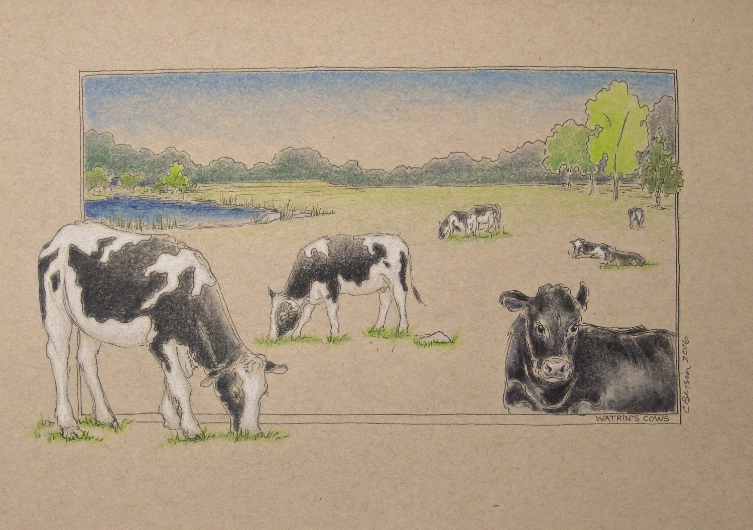 Watrin's Cows