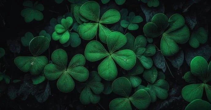 May the raindrops fall lightly on your brow, may the soft winds freshen your spirit, may the sunshine brighten your heart, may the burdens of the day rest lightly upon you, and may God enfold you in the mantle of his love~
  Irish Blessing
