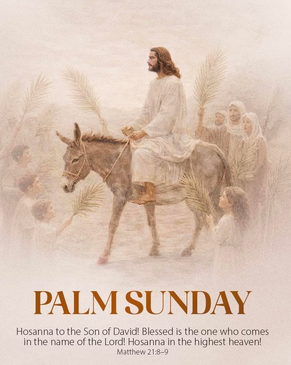 Blessed Palm Sunday to you all~