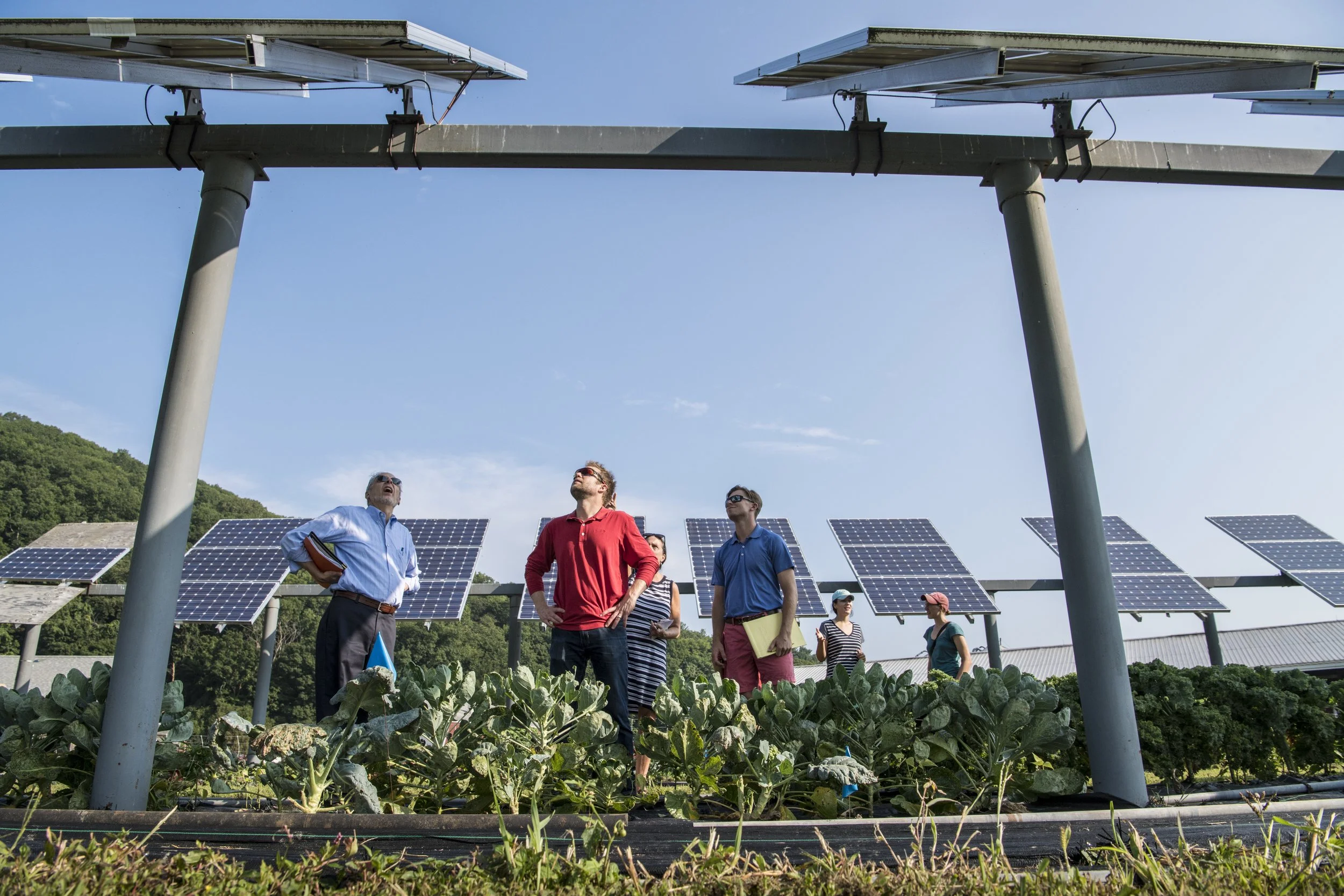 Community Solar Marketplace - Central Hudson - Summer 2019