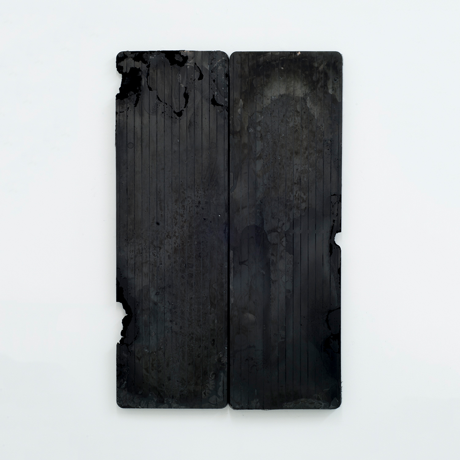 Carbon Form (diptych) 