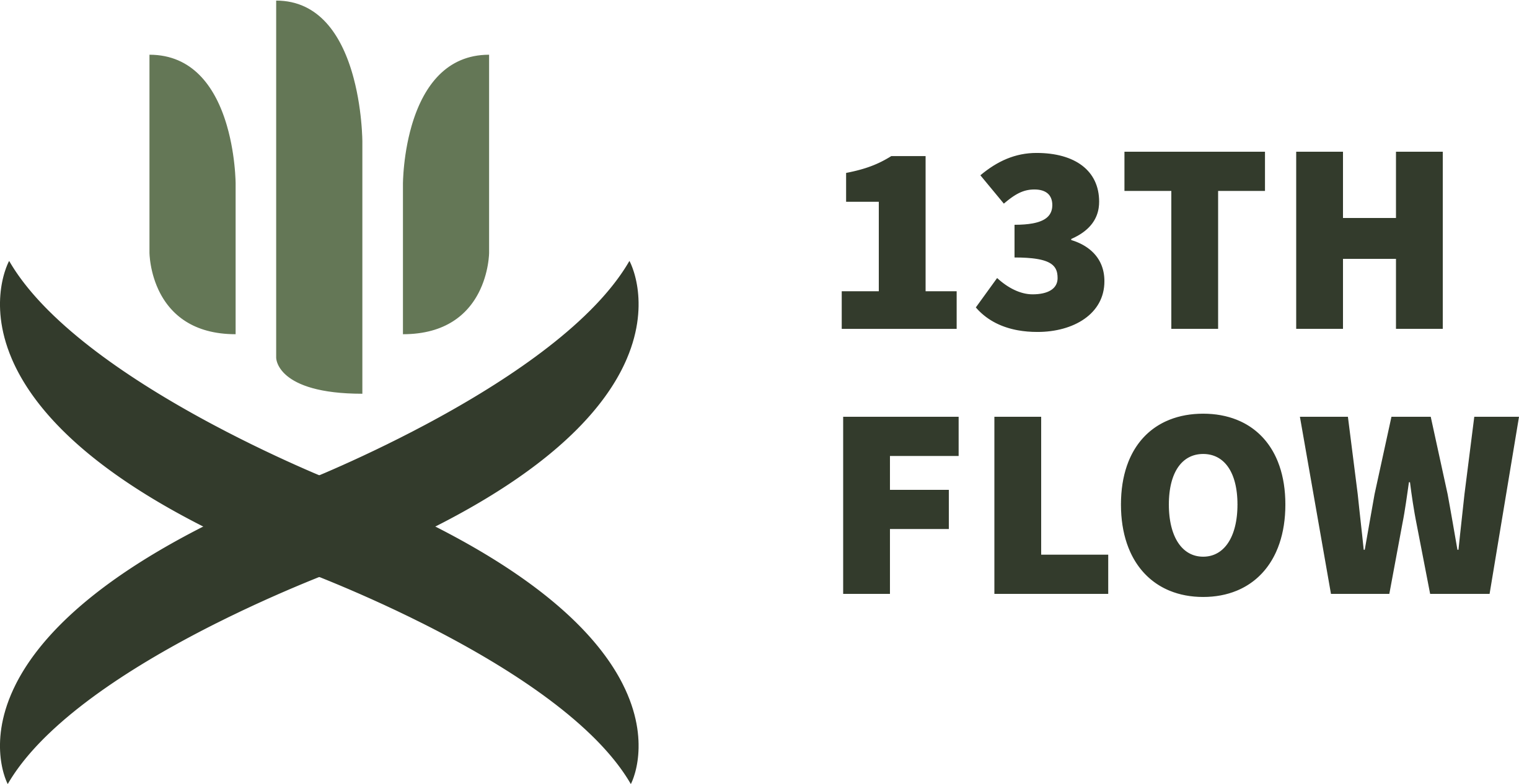 13thFlow-HorizontalLogo-2Color.png