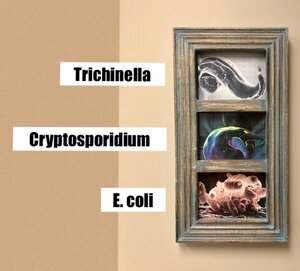 trichinella crytsporidium E. coli wall art on Matrix Savor Food Safety Inspectors wall