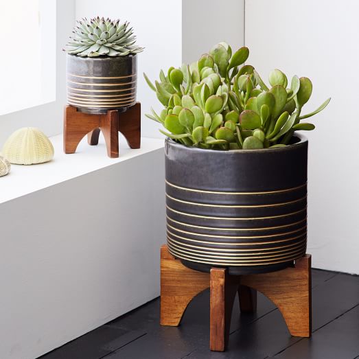 Mid-Century Turned Leg Tabletop Planters - Black/Gold