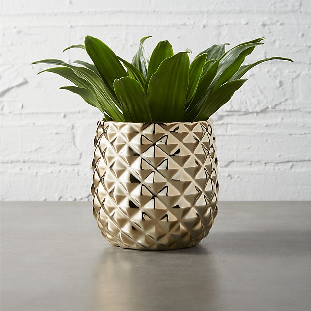 Colada Pineapple Vase-Planter