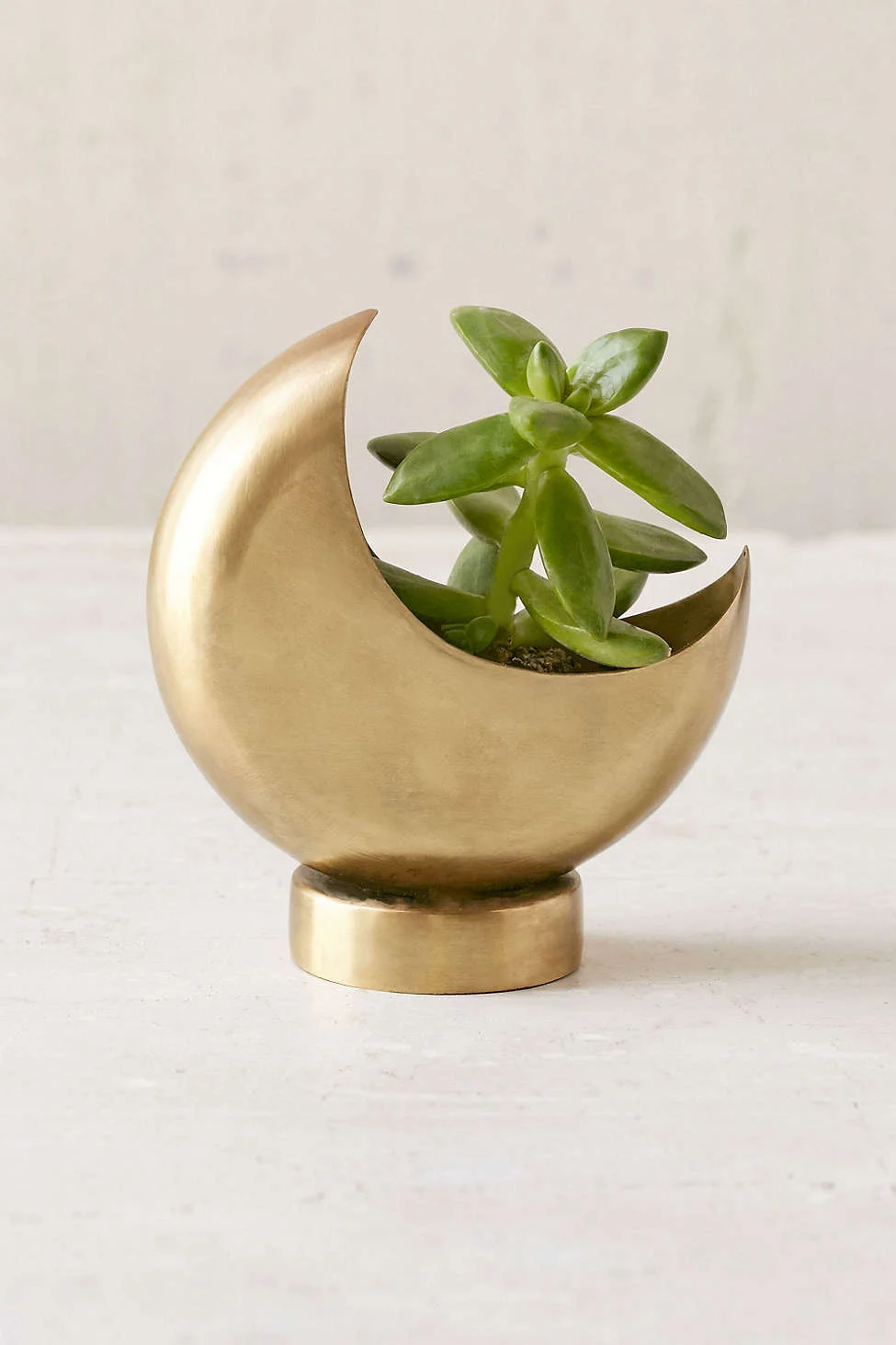 Half Moon Planter