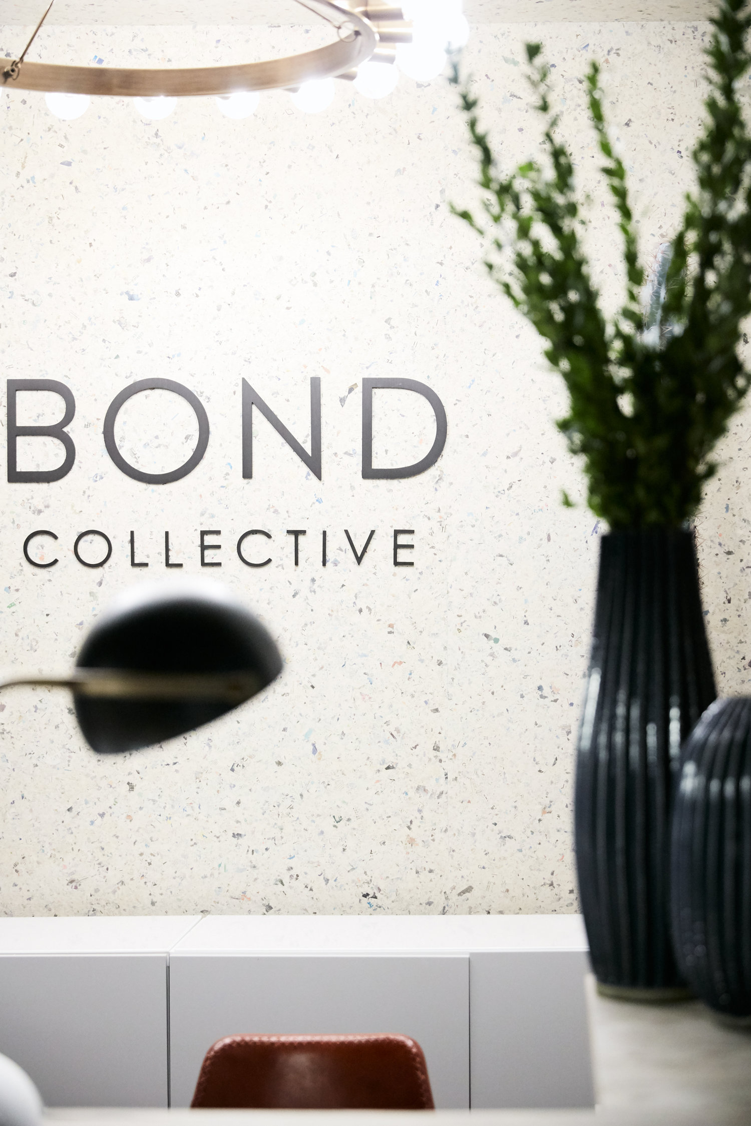 Bond Collective logo on a wall next to a plant