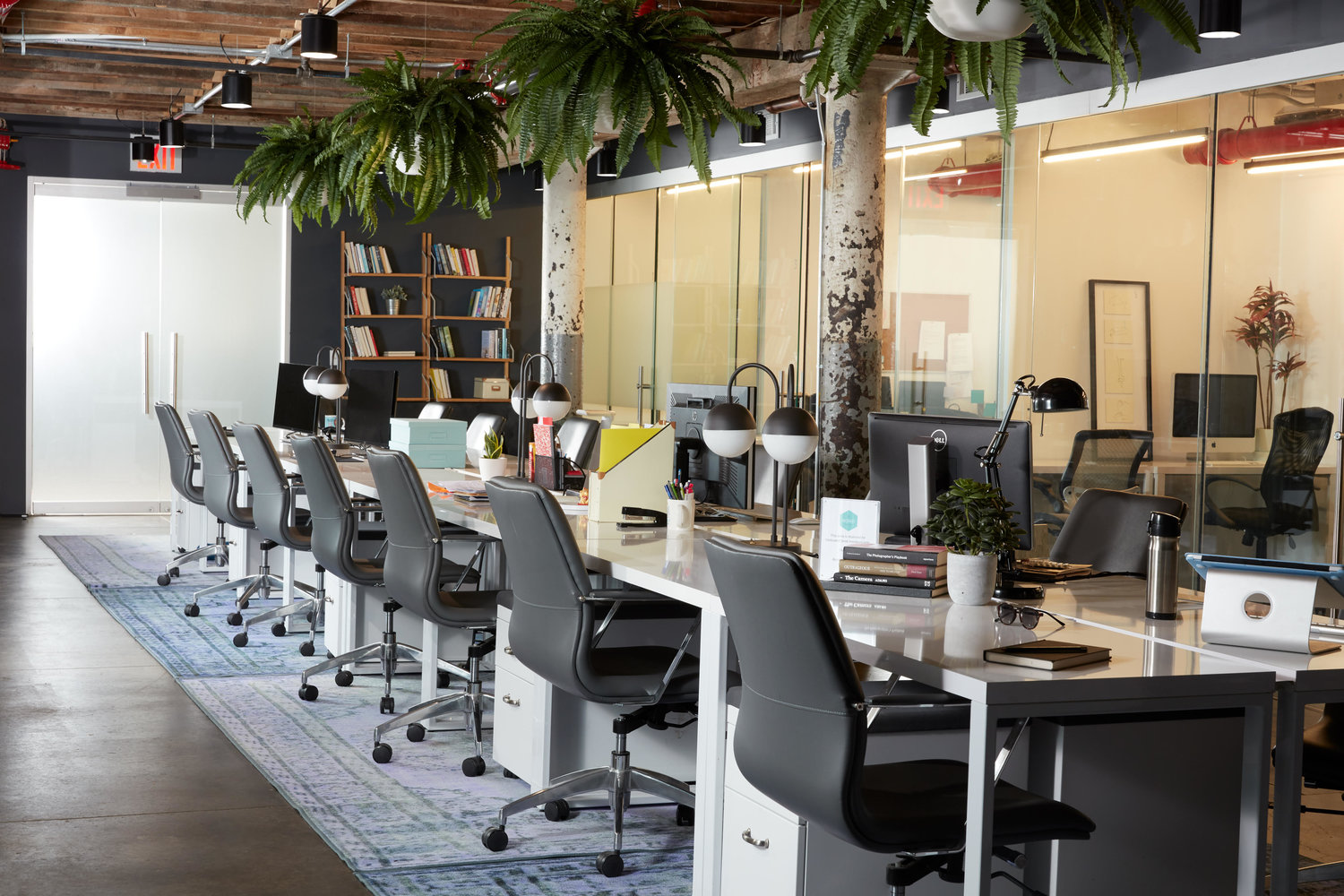 row of desks and chairs facing a glass wall in a coworking space