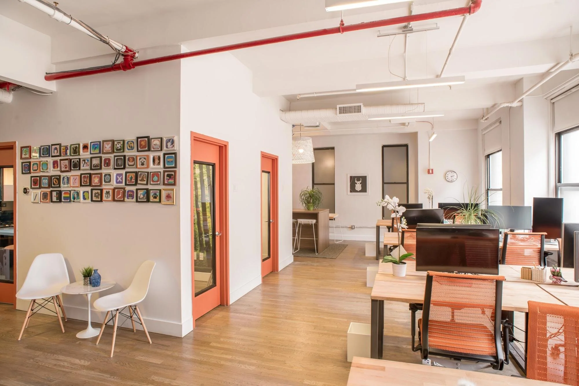 Shared office with several desks, white walls, and red doors