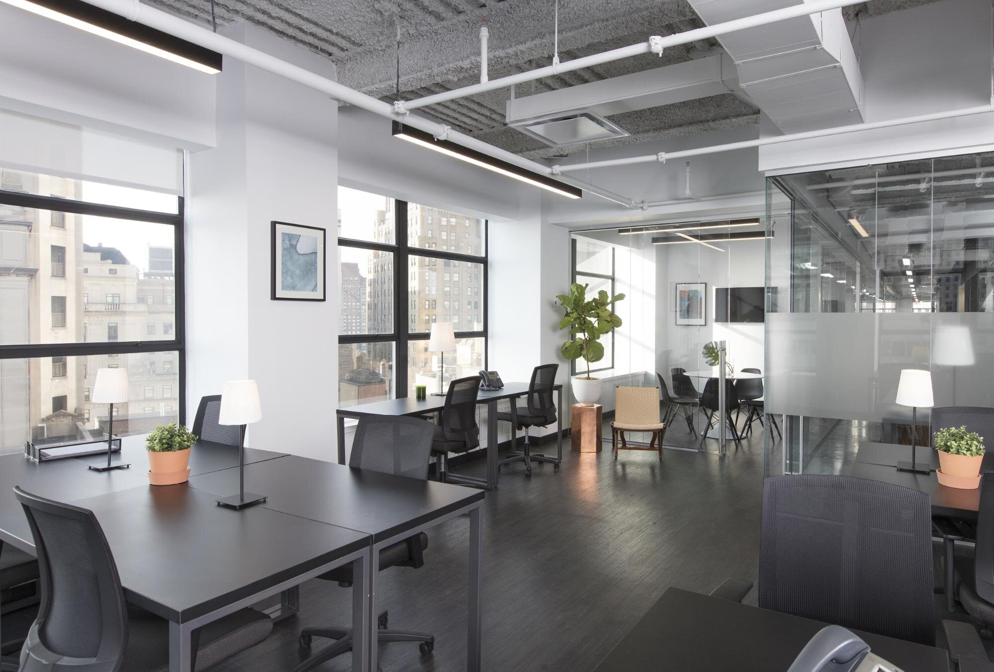 Open space office space planning with natural light and fresh plants