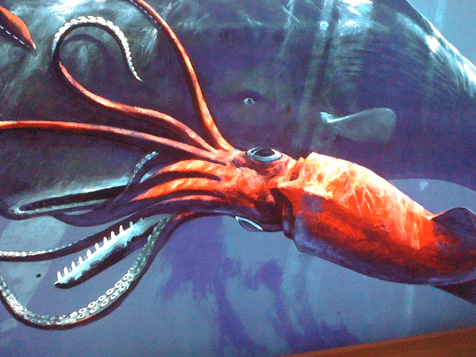 Squid vs Whale by Christopher Cacho