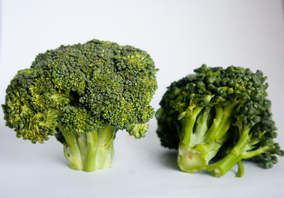 Behold: Glorious photovoltaic-shade-grown organic broccoli!