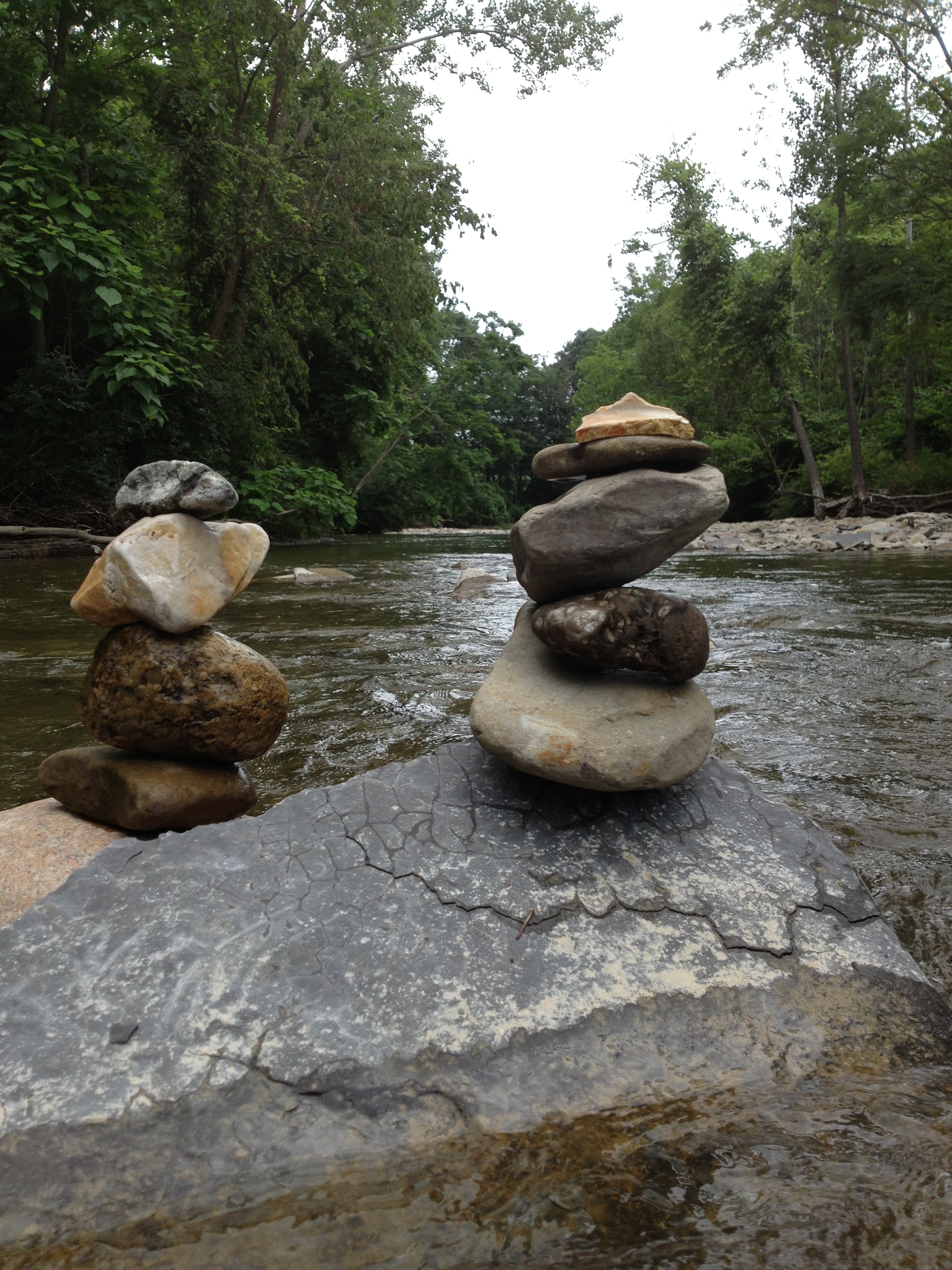 377 - Copy - Copy.JPG